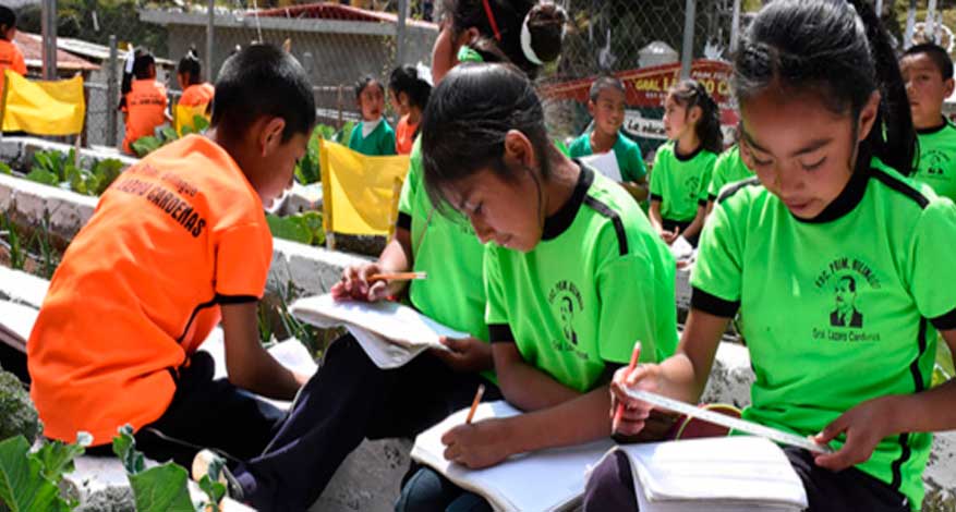 Desde el aula y el huerto reducen las escuelas el sobrepeso y la obesidad