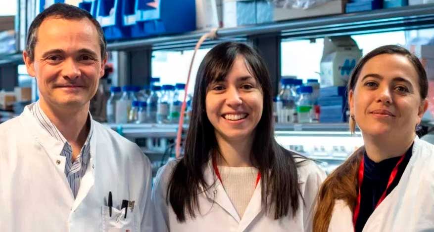 Adiponectina, la hormona que protege a las mujeres frente al cáncer de hígado