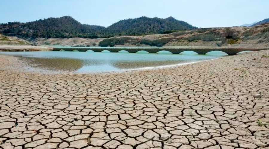 Agotamiento de los recursos naturales: causas y consecuencias